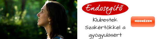 Endosegítő klubestek